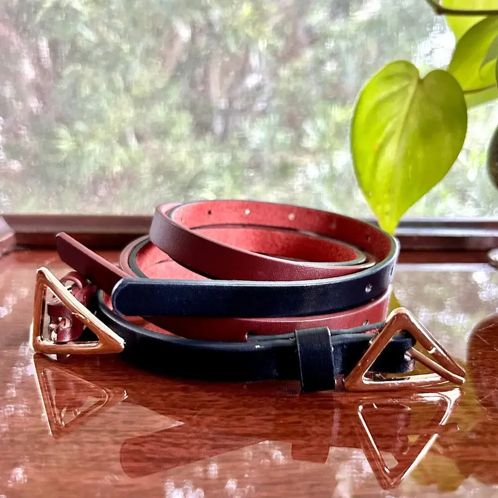 Set of 2 Skinny Belts – Brown & Black with Gold Triangle Buckles – 43” Length
